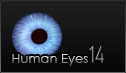 Human Eyes