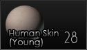 Human Skin (Young)