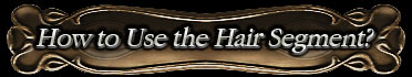 How to Use the Hair Segment?