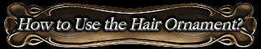 How to Use the Hair Ornament?