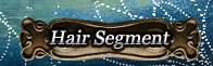 Hair Segment