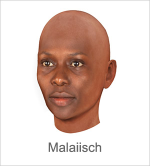 3D Gesicht - Malaiisch