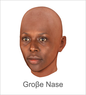 3D Gesicht - Große Nase