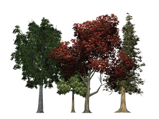 comment construire scene