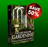 Monthly Special Save50%