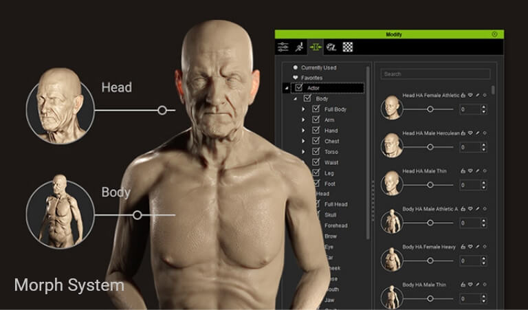 CC character base morph system supporting full body and facial shape transformation