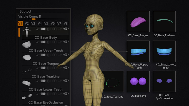 CC base ZTL file with ZBrush subtool structure