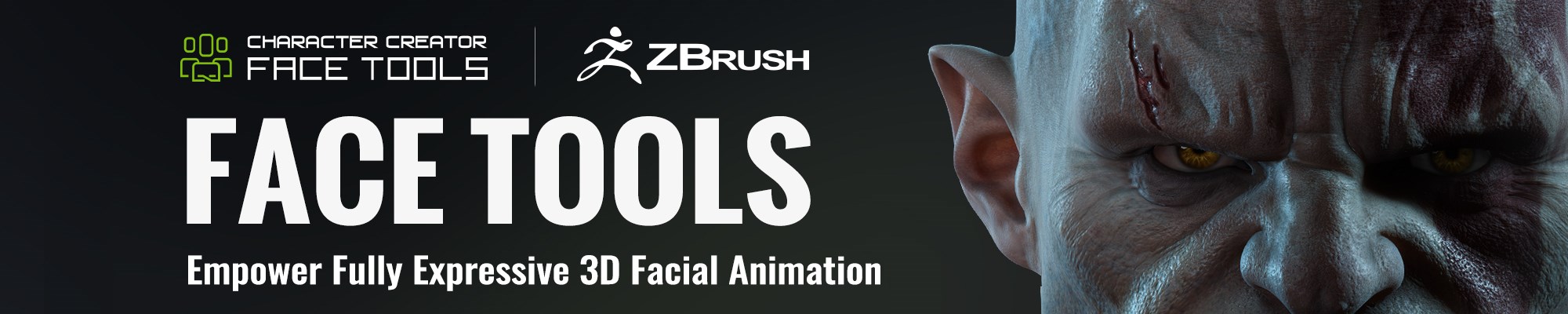 CC ZBrush Face Tools - Empower Fully Expressive 3D Facial Animation