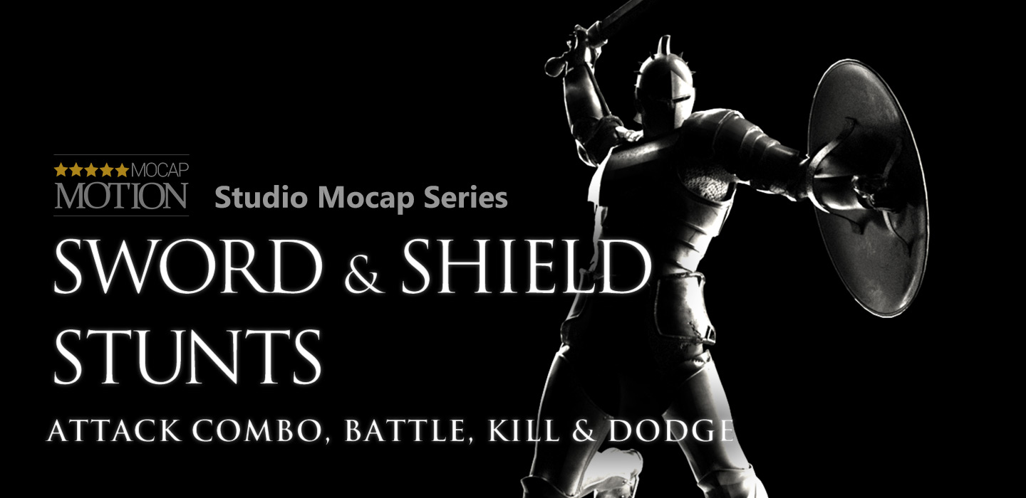 3d mocap to 2d-sword and shield stunts