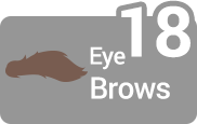 Eye Brows