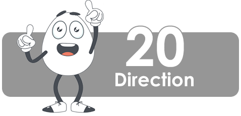 2D Animation-Direction