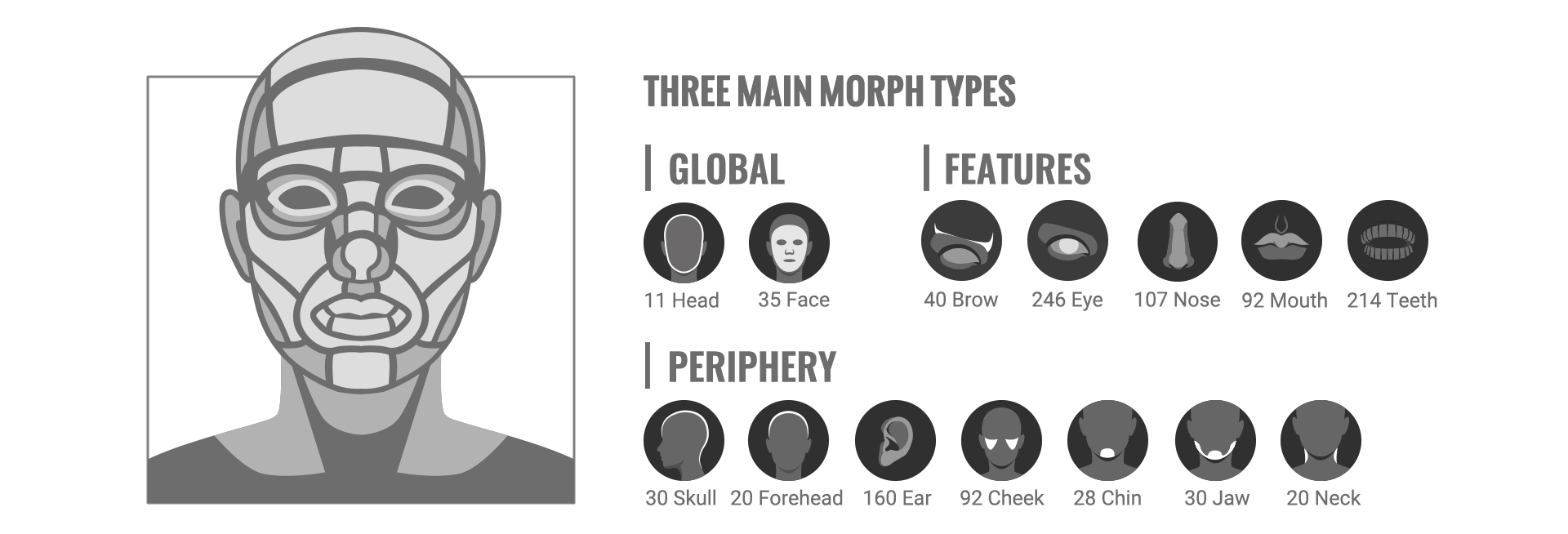 Three Main Morph Types