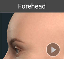 Headshot Morph - FEATURES
