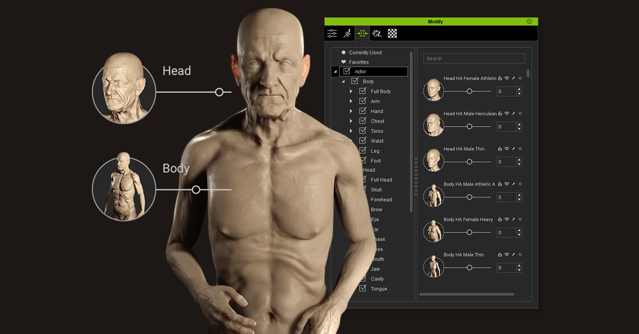body morph-separated head and body sliders