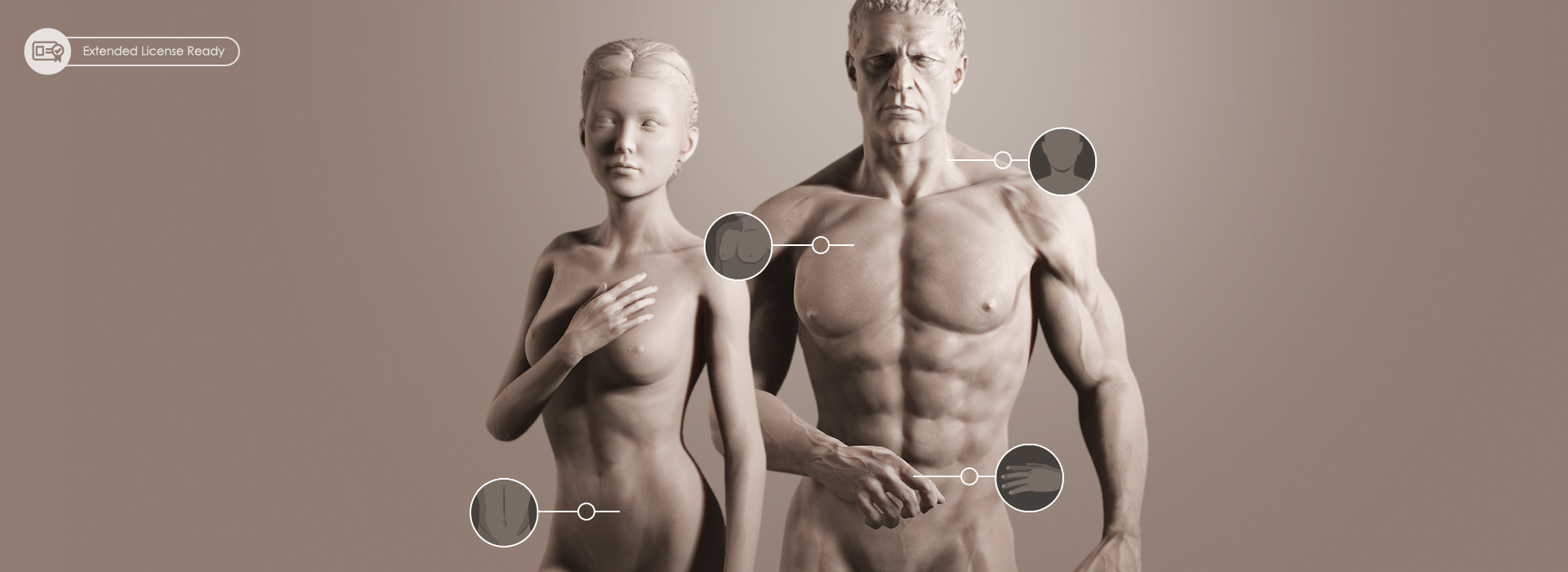 body morph-digital human