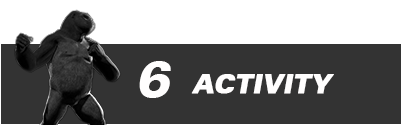MD Gorilla Behaviors - Activity