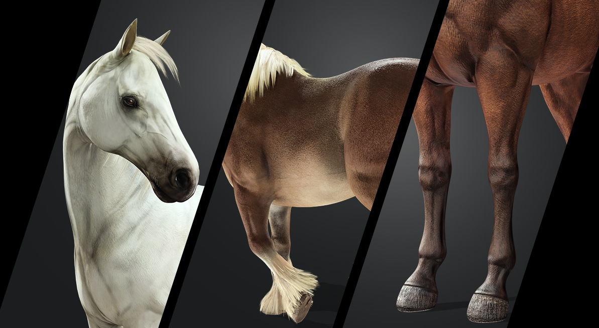 3D Horse - Fully Rigged