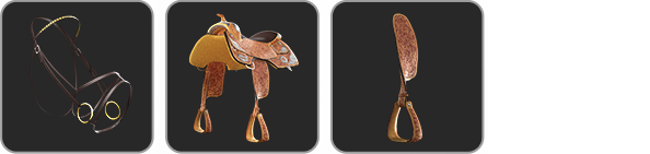3D Horse Accessories & Props