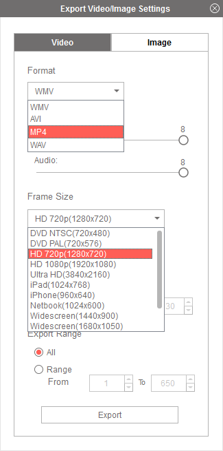 Image & video output