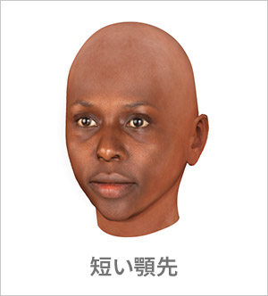 3D Avatar creator - Short Chin