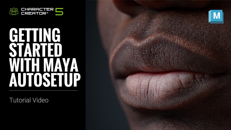 Maya Auto Setup Tutorial