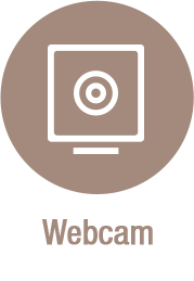  facial mocap animation - solution webcam