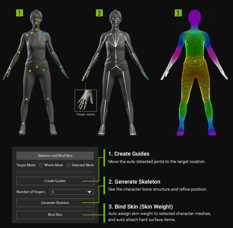 Skin Guide for 2d editing