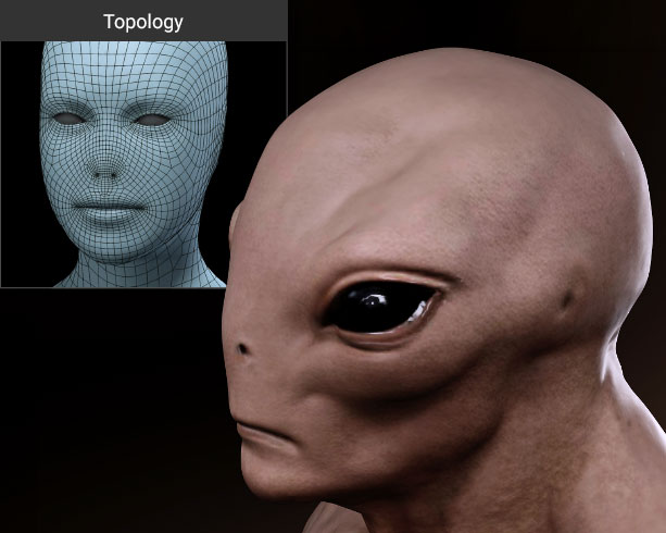 Earless & Noseless