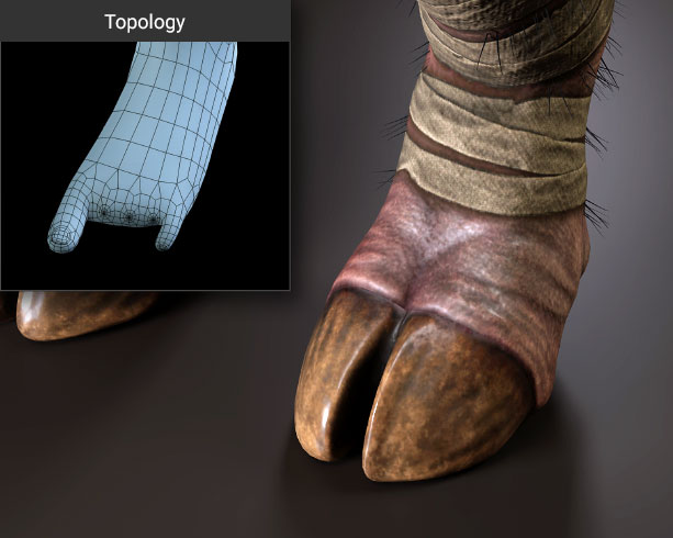 2-toe