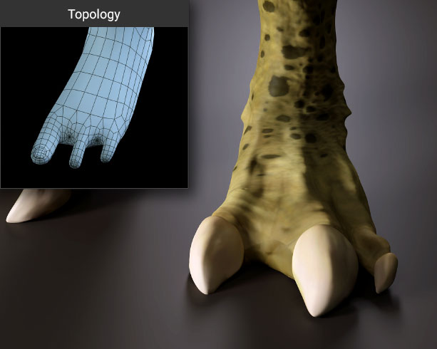 3-toe