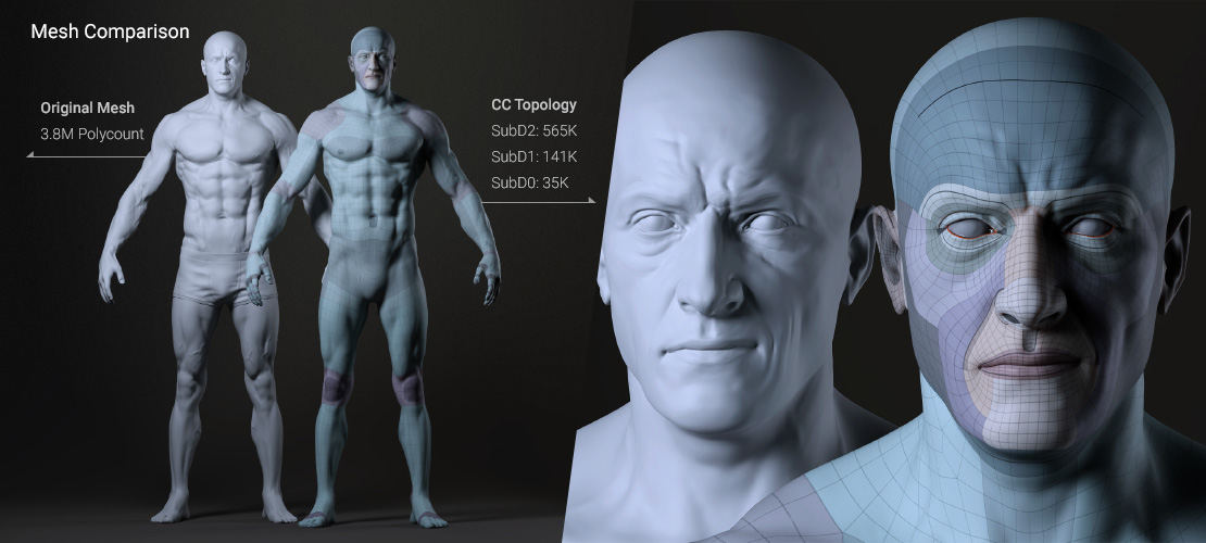 Mesh Comparison
