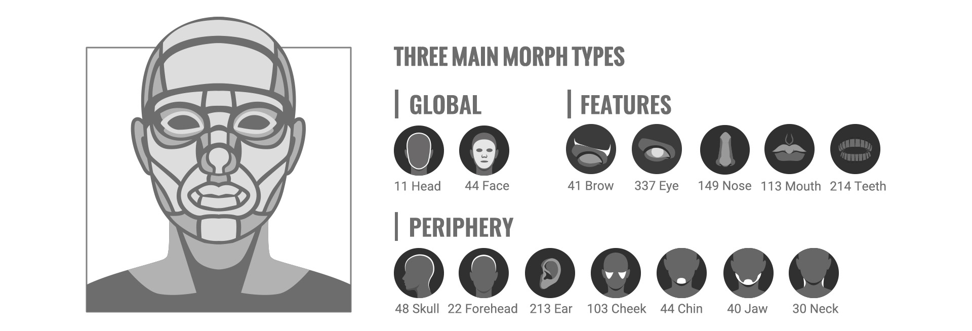 Three Main Morph Types