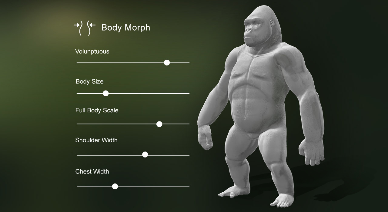 Dawn's Starter Stack - Body Morph