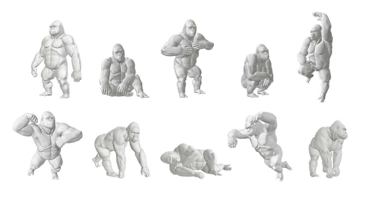 Dawn's Starter Stack - Daily Poses