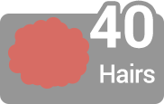 Hair