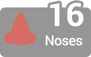 Nose