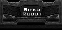Biped Robot