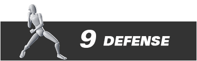 motion director - defense