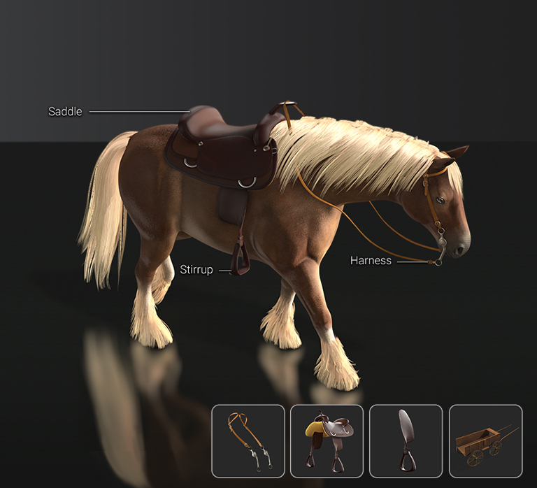 3D Horse Accessories & Props
