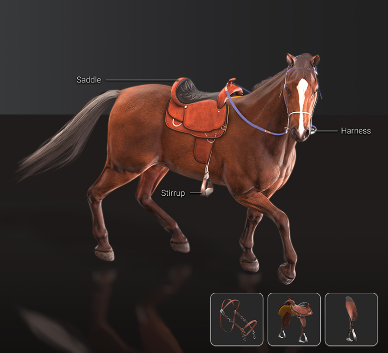 3D Horse Accessories & Props