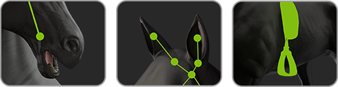 3D Horse - Fully Rigged