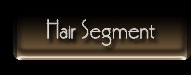 Hair Segment