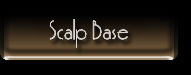 Scalp Base