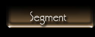 Segment