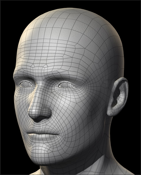 RealisticHuman100_HeadShape