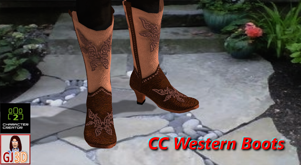 CC Western Boots