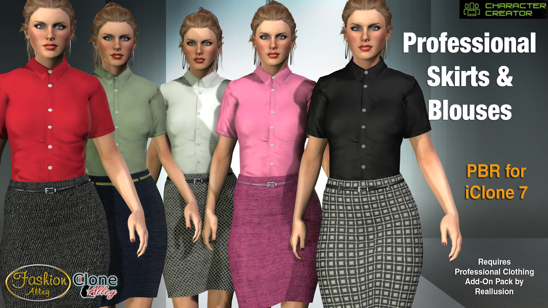 Professional Skirts & Blouses