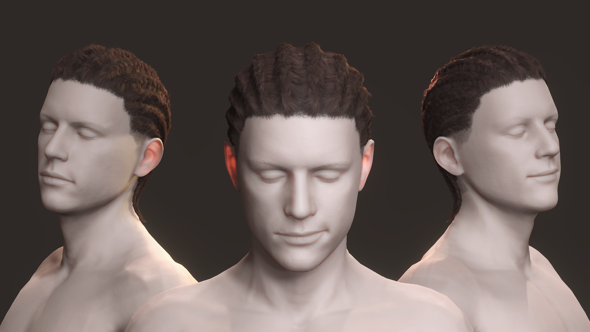 Male Braids Hair - Character Creator/Hair - Reallusion Content Store