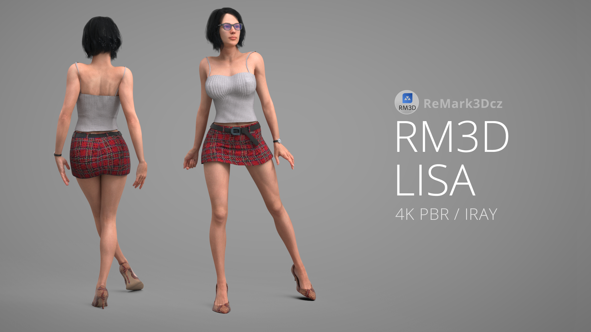 RM3D Lisa