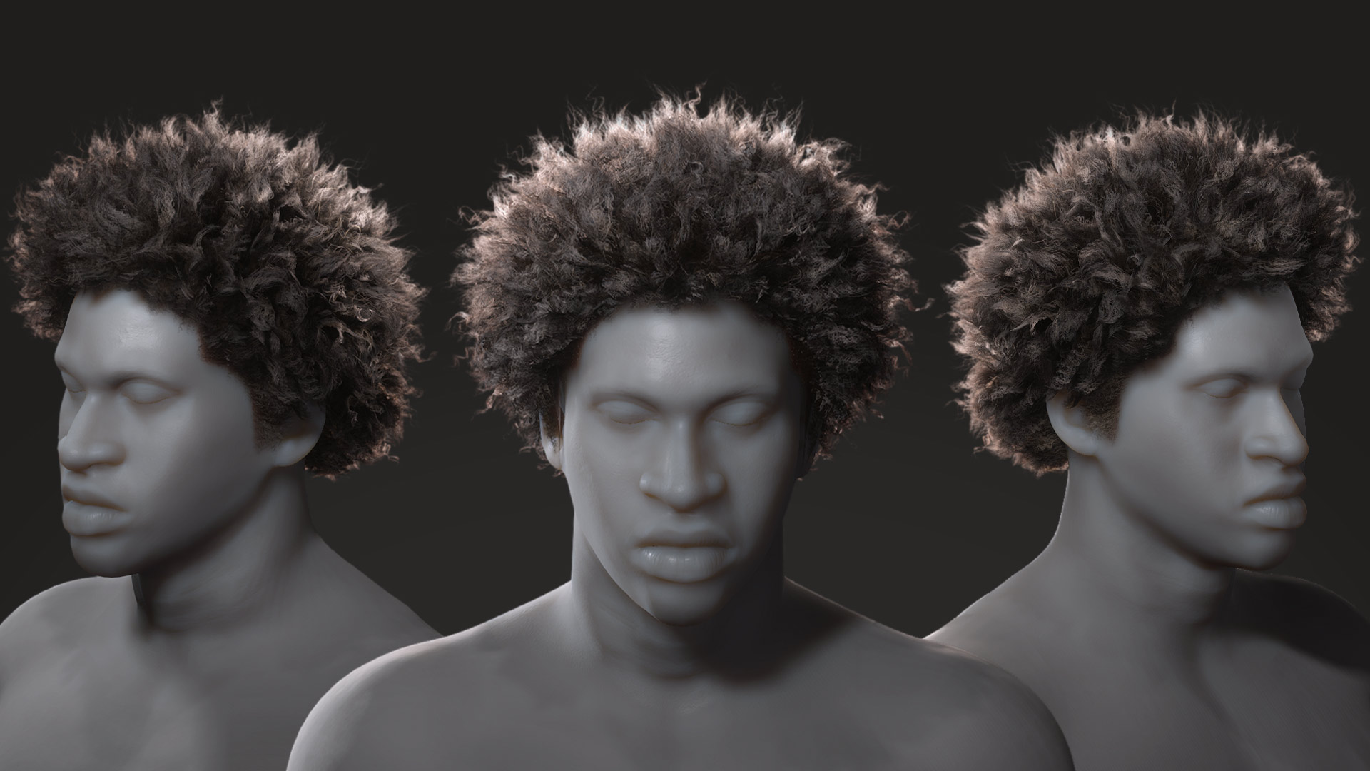 Medium Afro Hair - Character Creator/Hair - Reallusion Content Store
